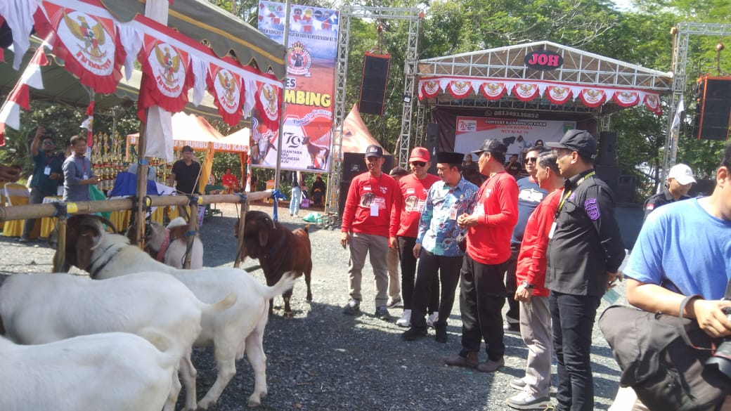 Pemkab Tanbu Gelar Kontes Kambing Jo Farm di Pantai Jo Cemara Pulau Salak